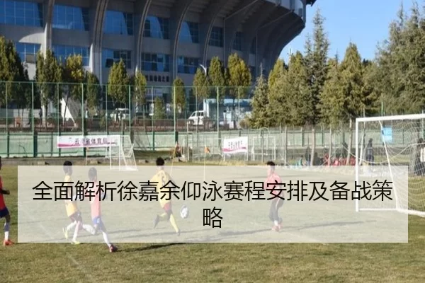 全面解析徐嘉余仰泳赛程安排及备战策略